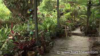 Family hopes to save life's work of Hillsborough County master gardener - FOX 13 Tampa Bay
