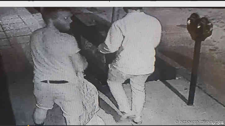 Millvale Police Looking For Two Suspects Accused Of Stealing No Parking Signs And Flags