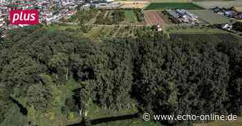 Umgehungsstraße bei Trebur: Das Ziel in ferner Zukunft - Echo Online