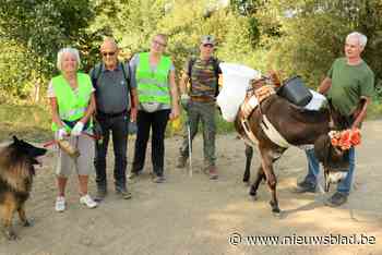 World Cleanup Day : zwerfvuil opruimen langs Antitankgracht