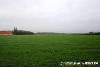 Boechoutenaren denken mee over klimaatactieplan - Het Nieuwsblad