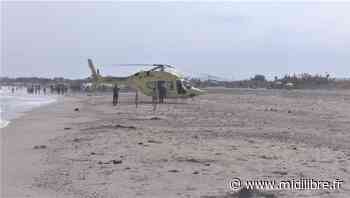 Frontignan : cinq cents opérations de sauvetage sur la plage cet été - Midi Libre