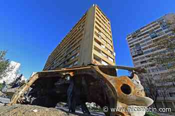Corps calciné retrouvé à Marseille: enquête pour "homicide volontaire en bande organisée"