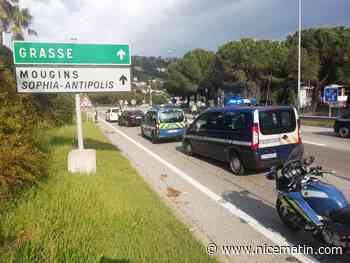 La nouvelle loi sur le téléphone au volant plus sévère, plusieurs permis confisqués sur la Côte d'Azur