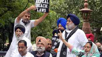 Shiromani Akali Dal takes out protest march against farm laws in Delhi, top leaders detained