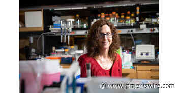 Pamela Björkman wins the 2021 Pearl Meister Greengard Prize