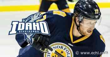 McBride inks deal with Steelheads - ECHL.com