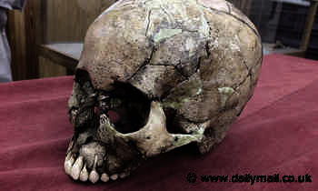 Archaeology: Modern Japanese populations descended from THREE ancient cultures, not two as thought