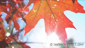 Ready for fall colors? Lower your expectations