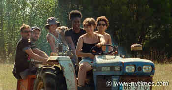 An Eerie, Thrilling Trip to the Toronto International Film Festival