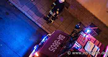 Bamberg: Katze in Fenster eingeklemmt - Feuerwehr rettet Tier - inFranken.de