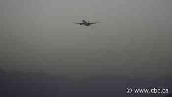 Plane carrying 170 foreigners and Afghans from Kabul arrives in Doha