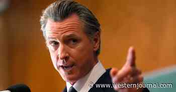 Steve Baldwin: As the Reality of California Becomes Clear, Will Red States Have the Guts to Make Things Right?