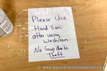 42 soap dispensers ripped from washroom walls at 3 Chilliwack schools over TikTok challenge – Agassiz Harrison Observer - Agassiz Harrison Observer