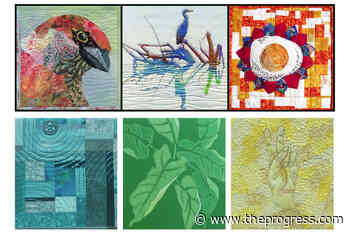 Vibrant 2-in-1 fibre art show in Chilliwack inspired by monochromatic work and birds – Chilliwack Progress - Chilliwack Progress