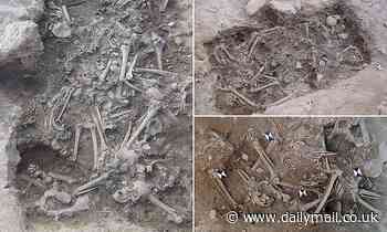 Mass graves with remains of 25 Crusaders slaughtered during a 13th century war are found  in Lebanon