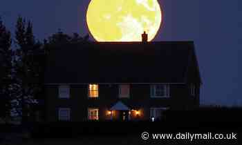 Look up MONDAY! Harvest moon will light up the night sky on Sept. 20