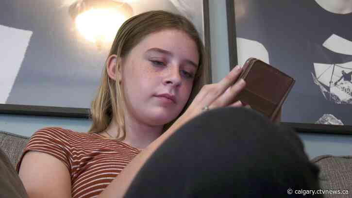 Young artist raising money for animal rescue society