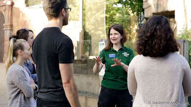 London Zoo offering animal tours with afternoon teas