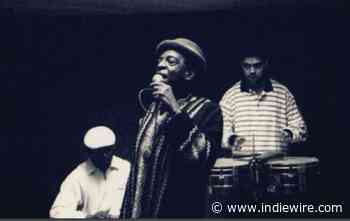 Meet Matt Dillon, Slow Filmmaker: Documentary ‘The Great Fellove’ Was Worth the Wait - IndieWire