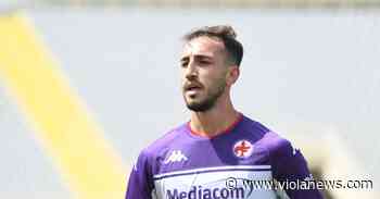 Bortolazzi: “Genoa indietro rispetto alla Viola, Castrovilli fondamentale” - Viola News