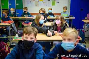 Gericht bestätigt Maskenpflicht an Schulen – Lockerungen für die Jüngsten geplant - Landkreis Stade - Tageblatt-online