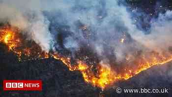 Carbon emitters 'failing to disclose climate risks'