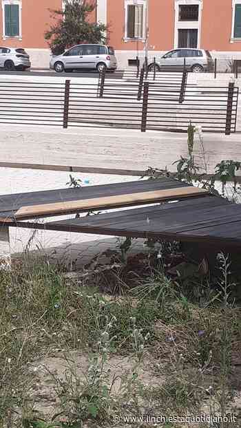 Gruppo Sora 2.0: Piazza XIII Gennaio tra abbandono del verde e panchine gia' in disuso - L'Inchiesta Quotidiano OnLine