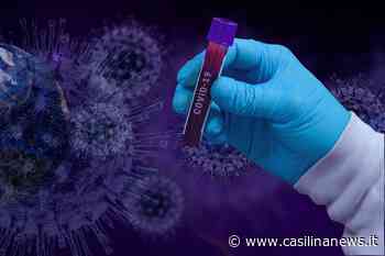 Ciociaria, 21 nuovi casi positivi su 406 tamponi fatti. 5 a Sora: città più “colpita” - Casilina News