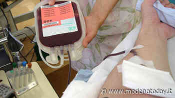 L'appello di Avis Modena, mancano medici e infermieri per le donazioni - ModenaToday