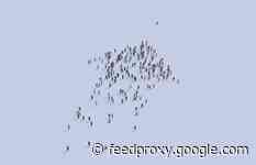 Communicators: 'It’s our time'