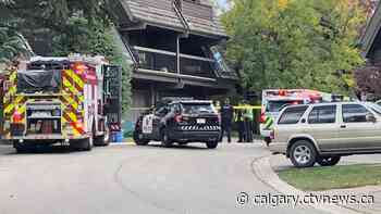 Man killed after truck falls on him in northwest Calgary - CTV News Calgary