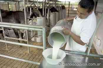 “Ha caído un poco la rentabilidad, pero la lechería sigue siendo negocio” - Diario La Opinion de Rafaela
