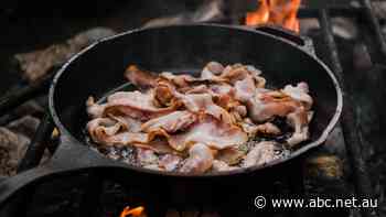 The average Aussie eats six kilos of bacon every year, but where does it come from?