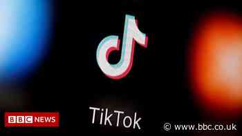 TikTok faces privacy investigations by EU watchdog