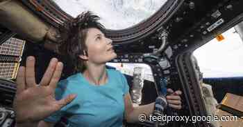 What's life like in space? Astronauts share moving memories in new film     - CNET