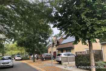 Kat Titus zet probleem met straatbomen op scherp