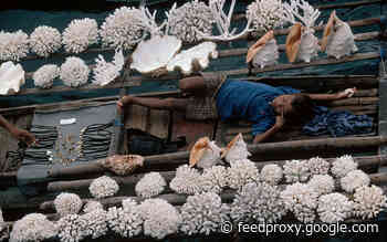 Science Works On Explaining How Much Sleep We Need