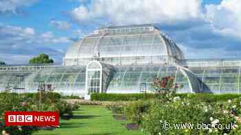 Kew Gardens: Royal Botanic Gardens breaks record for largest plant collection