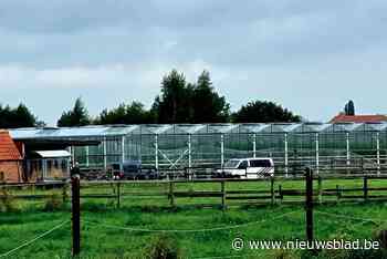 Tomatenkwekers blijven in cel na beroep van arbeidsauditeur