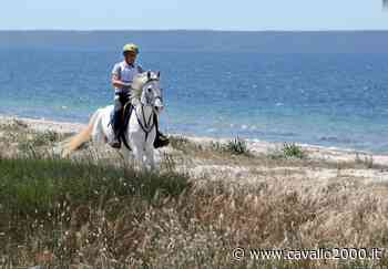Ala Birdi, al via il campionato mondiale endurance - CAVALLO 2000 - Cavallo 2000