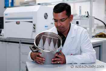 Fireproof and Comfortable Cotton: Protective Fabric Without Formaldehyde