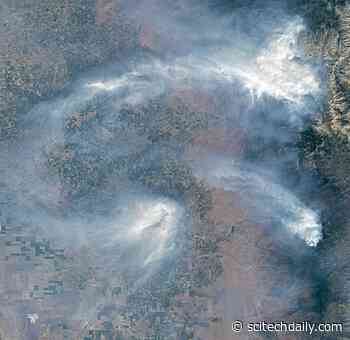 Fire Encroaching on Giant Sequoias – California’s Natural Treasures Threatened