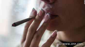 Italy will likely hold a referendum on decriminalizing cannabis next year