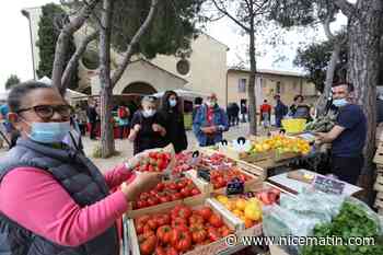 Antibes: au Campus Vert d'Azur et au plateau de la Garoupe, les producteurs locaux à l'honneur dimanche