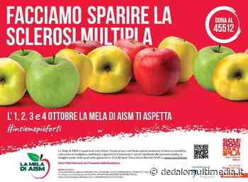 Enna - “La Mela di AISM” ti aspetta l'1, 2, 3 e 4 ottobre - dedalomultimedia.it