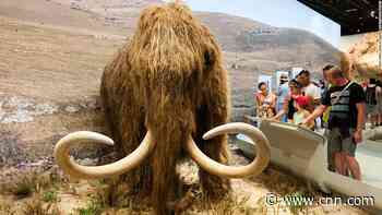 Woolly mammoth resurrection project receives $15 million boost