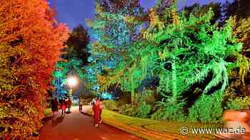 Zauberhaft: Genießen Sie heute den „Parksommer“ in Witten - Westdeutsche Allgemeine Zeitung