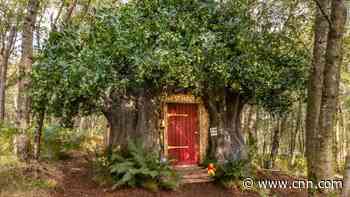 Winnie the Pooh's tree house for rent at this 'Bearbnb'