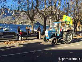 Stangata bollette, Coldiretti: "A Como-Lecco rincari insostenibili" - Prima Como